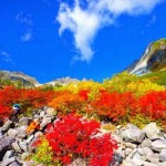 日本の魅力を見つけにいこう！手つかずの自然が多く残る大自然の宝庫「上高地」