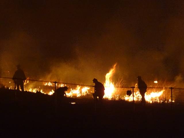 奈良 山焼き 作業
