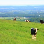 北海道を120%満喫出来る！絶景スポット＆体験コンテンツ１３選