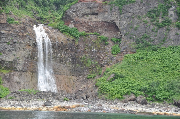 野生動物観察クルーズ