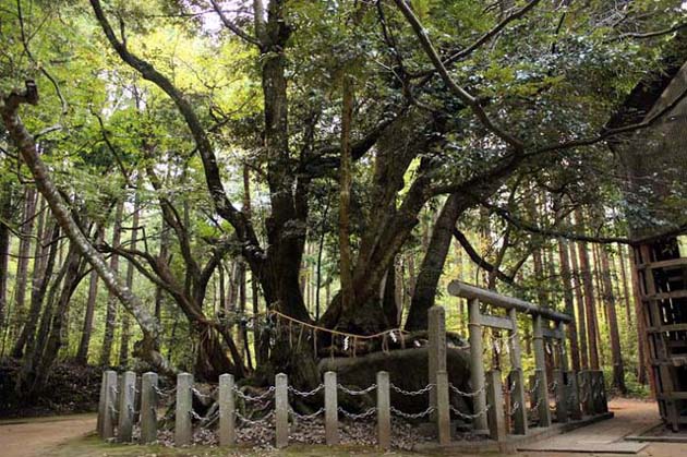 盤座