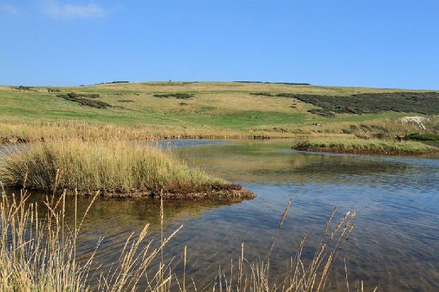 セブンシーズカントリーパーク