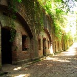 まるで天空の城ラピュタのような無人島「和歌山・友ヶ島」の探検