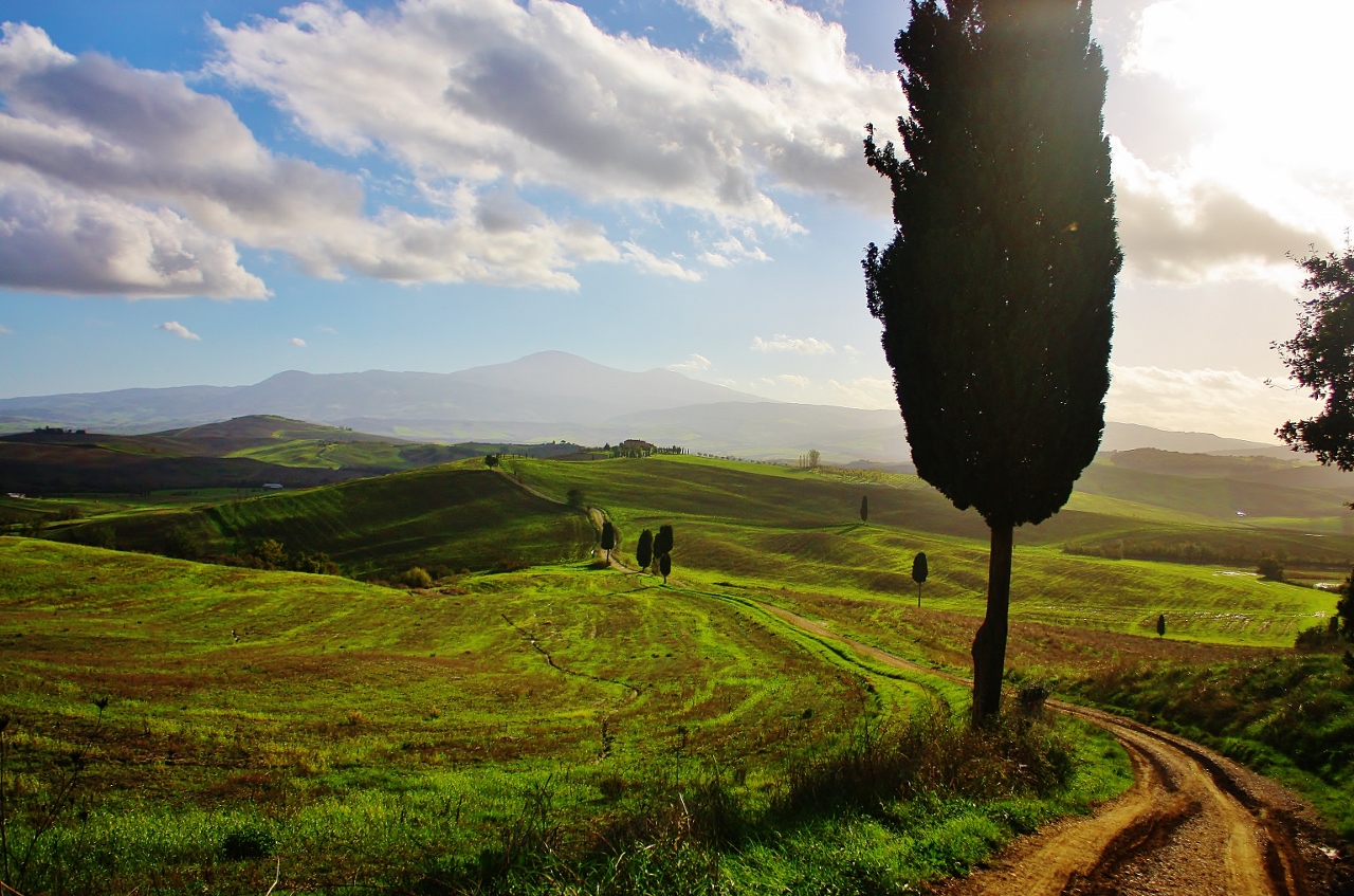 絵画のような美しきトスカーナの絶景 イタリアの世界遺産 オルチャ渓谷 ページ3