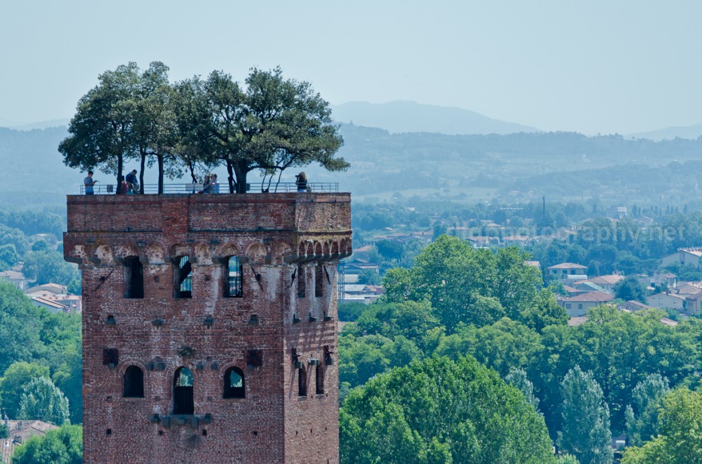 ルッカの風景