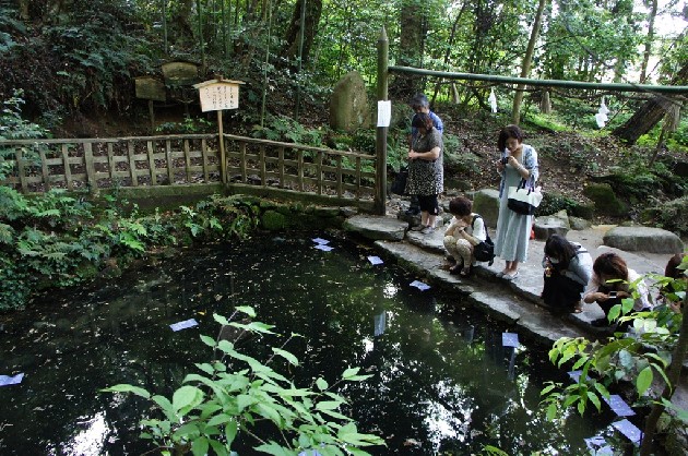 八重垣神社鏡の池