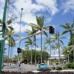 海も山も！ケアンズから行くオーストラリアの世界遺産めぐり