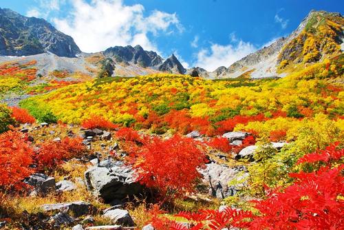 涸沢カール紅葉