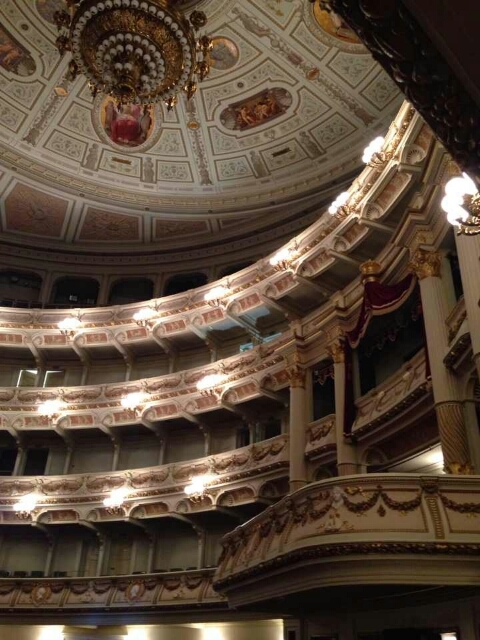 ゼンパーオーパー客席