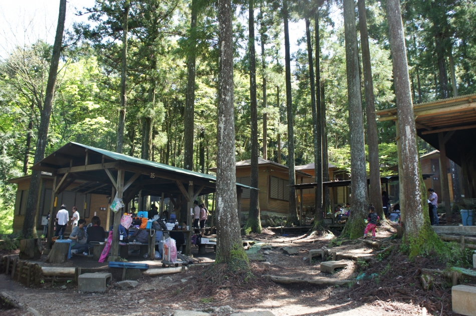 足柄森林公園 丸太の森