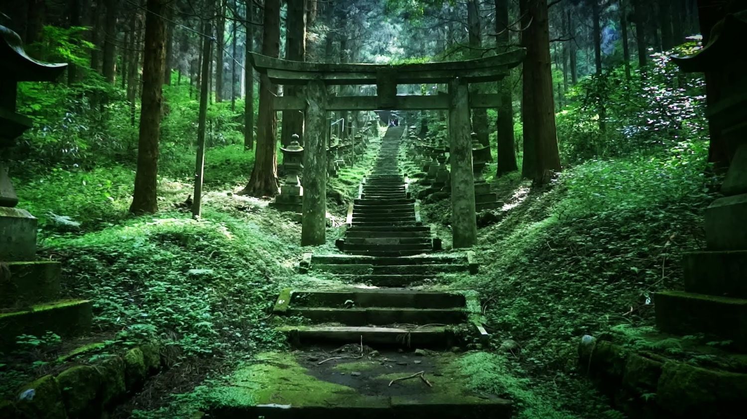 神秘的すぎる！まるで別世界への入り口のような「上色見熊野座神社」