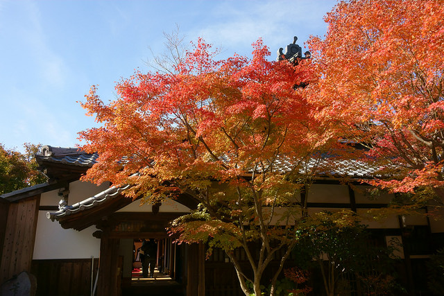 天得院の紅葉