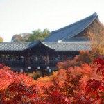 年２回限定！京都屈指の紅葉名所「天得院」の特別拝観が本日より開始
