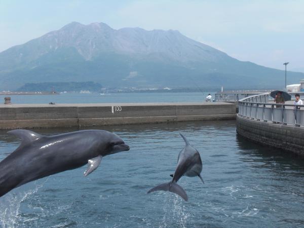 いおワールド　水族館