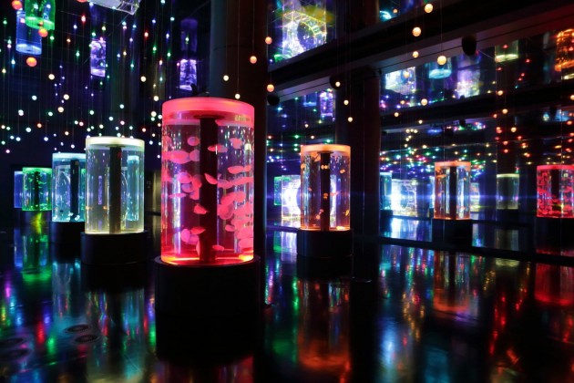 SNOW AQUARIUM by NAKEDのクラゲゾーン