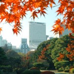 高層階からの眺望が自慢の「小田急ホテルセンチュリーサザンタワー」