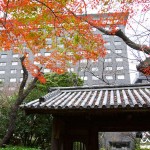 緑あふれる都心のリゾート「グランドプリンスホテル高輪」