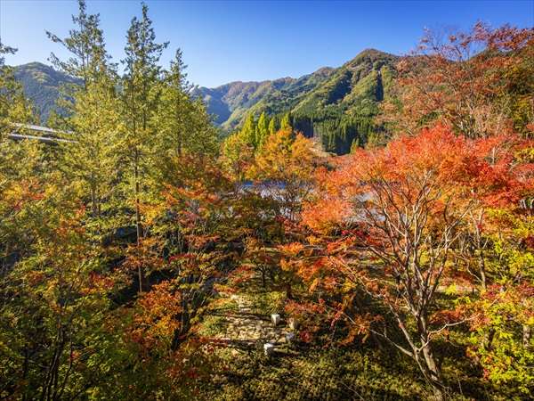 星野リゾート 界 鬼怒川の中庭