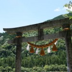 話題沸騰中！まるで絵画のような美しすぎる岐阜の「モネの池」