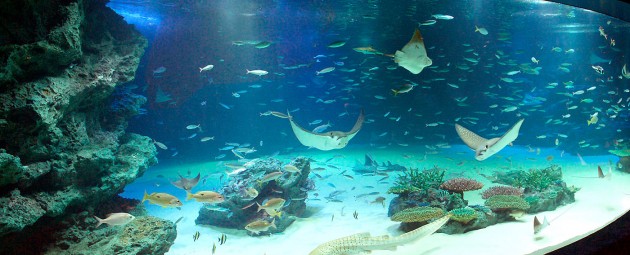 サンシャイン水族館