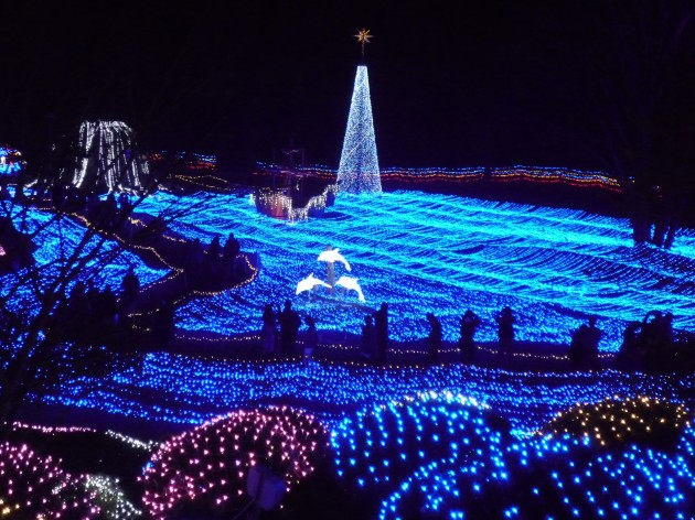 京都イルミエール