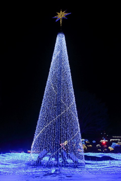 京都イルミエール