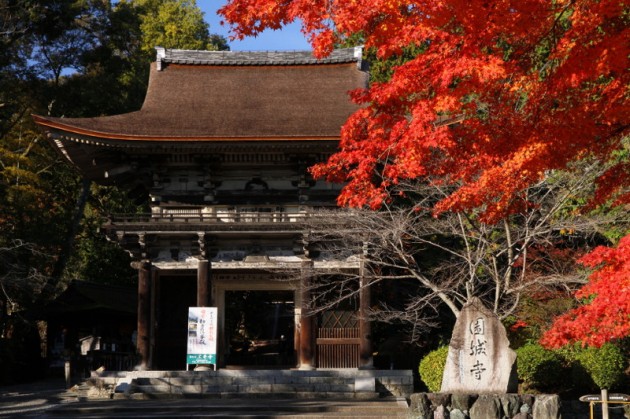 大津市　園城寺（三井寺） 秋