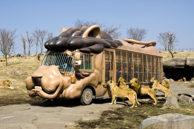 アフリカンサファリ