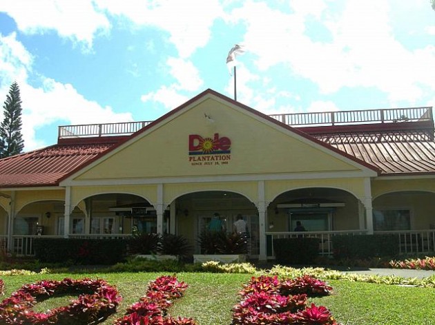 ドールプランテーション