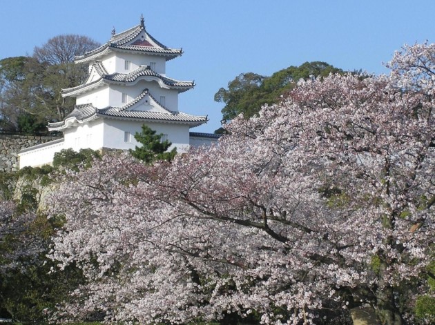 明石城・桜