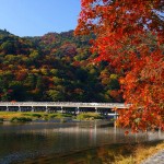 京都を知るなら嵯峨野へ行こう！京都・嵐山観光のおすすめモデルコース