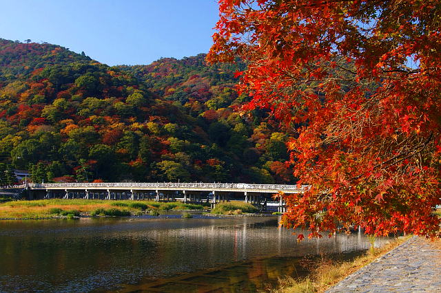 京都を知るなら嵯峨野へ行こう！京都・嵐山観光のおすすめモデルコース