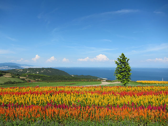 ようこそ花の島へ 淡路島の観光スポットおすすめランキング Tabit Life