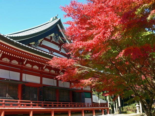 大津市　比叡山延暦寺 冬