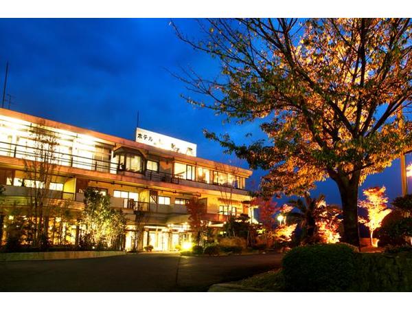 ホテル北野屋_夜景全景