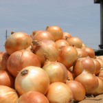 どれも欲しくなっちゃう？淡路島のお土産おすすめランキング