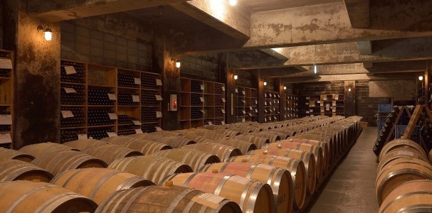 信濃ワインのワインセラー