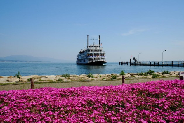 大津市　大津市湖岸なぎさ公園 春