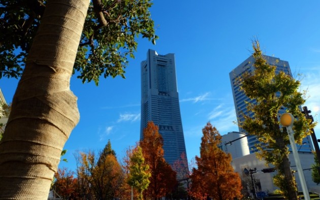 ランドマークタワー遠景