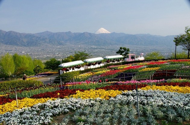 笛吹川フルーツ公園