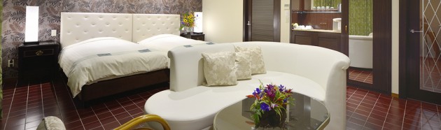 石垣エクザスデラックスルーム