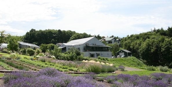 ヴィラデストワイナリー