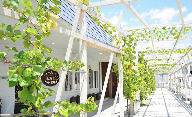 ロリアンワイン