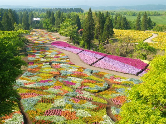 くじゅう花公園