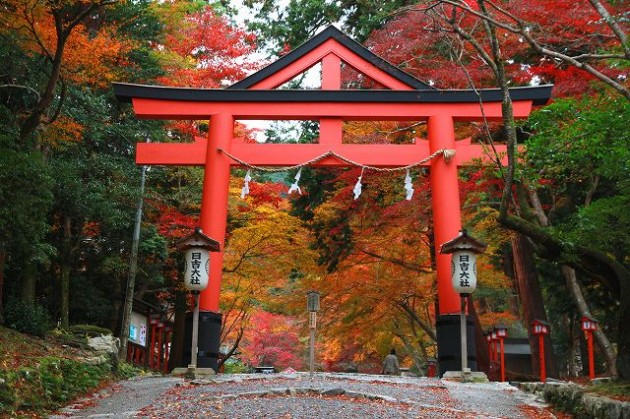 大津市　日吉大社 鳥居