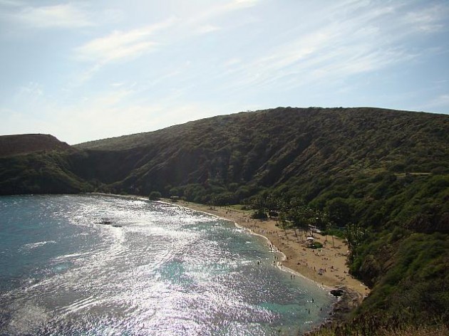 Good_77_sum640_1264102835