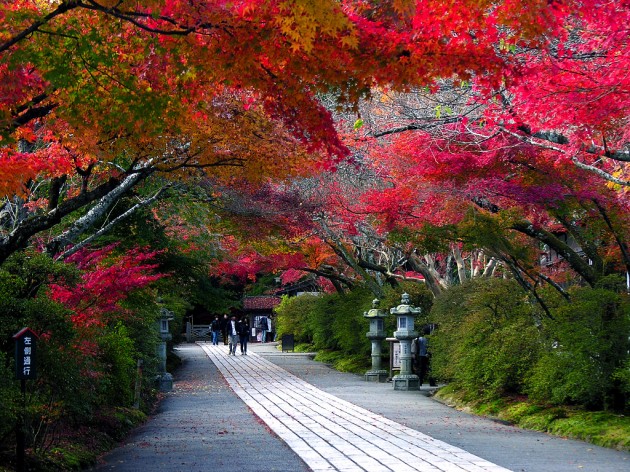 大津市　石山寺　境内