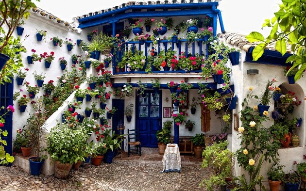 4.コルドバパィオ