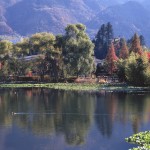 九州の軽井沢「湯布院」の観光スポットおすすめランキング