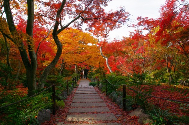 京都・祇王寺01